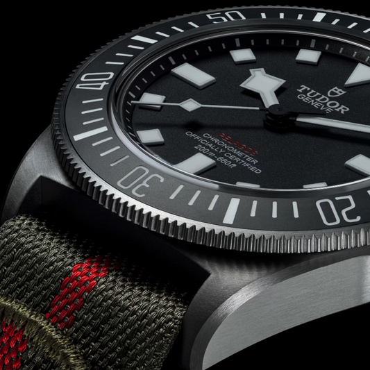 Tudor Pelagos FXD 42mm, Black, Ref# 25717N-0001, dated 2025