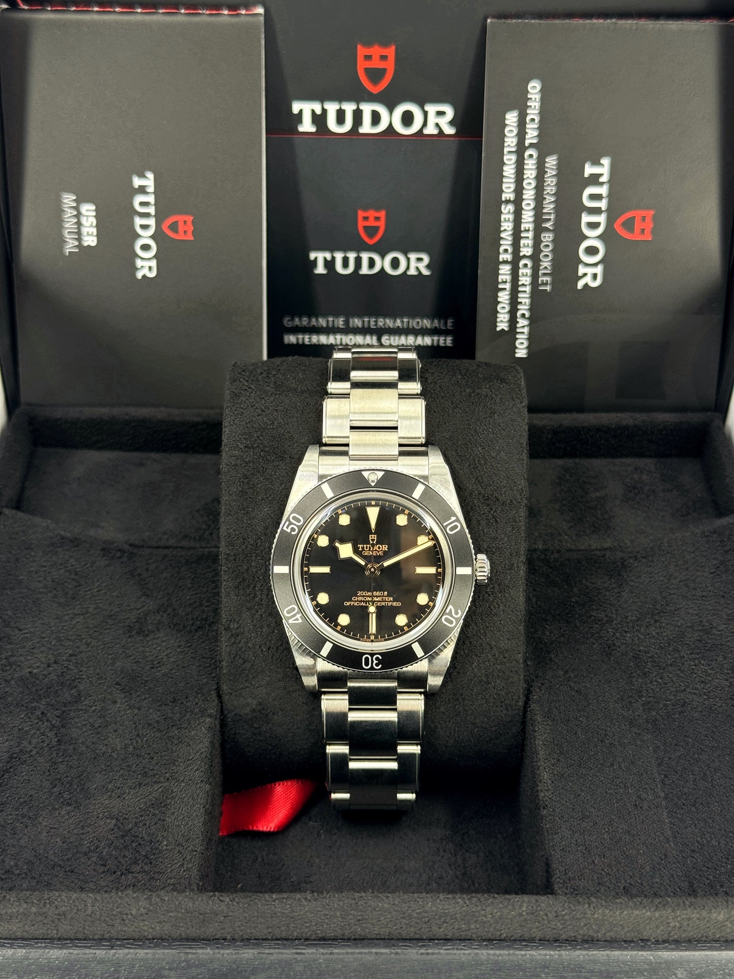 Tudor Black Bay 54 37mm, Black, Ref# 79000N-0001, dated 2025