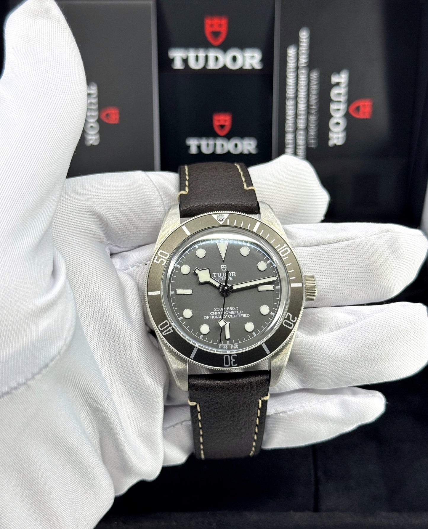 Tudor Black Bay 58 925, Taupe, Ref# 79010SG-0001, dated 2026