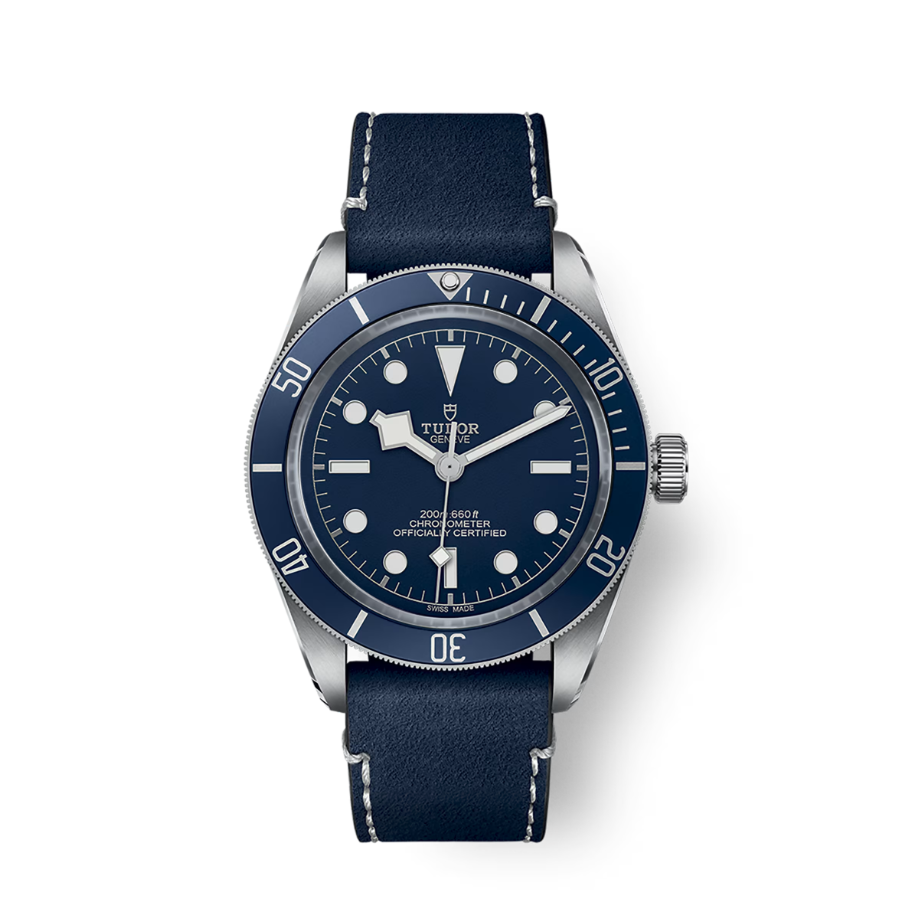 Tudor Black Bay 58 39mm, Blue, Ref# 79030B-0002, dated 2025