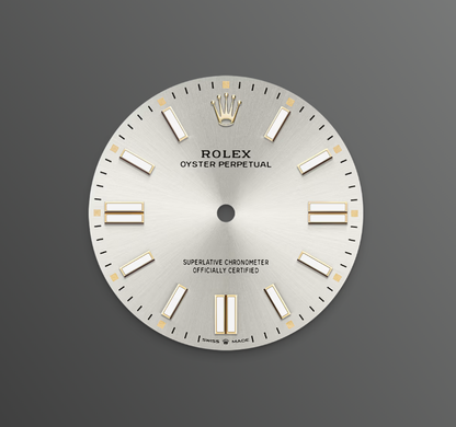 Rolex Oyster Perpetual 41 mm, Stainless Steel, Silver, Ref# 134300-0001, dated 2025