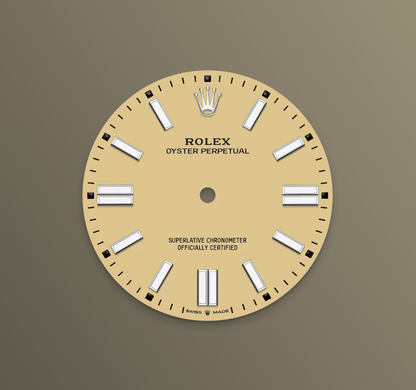 Rolex Oyster Perpetual 41 mm, Stainless Steel, Beige, Ref# 134300-0007, dated 2025