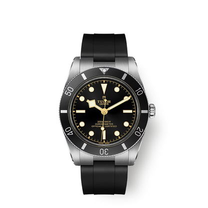 Tudor Black Bay 54 37mm, Black, Ref# 79000n-0002, dated 2026