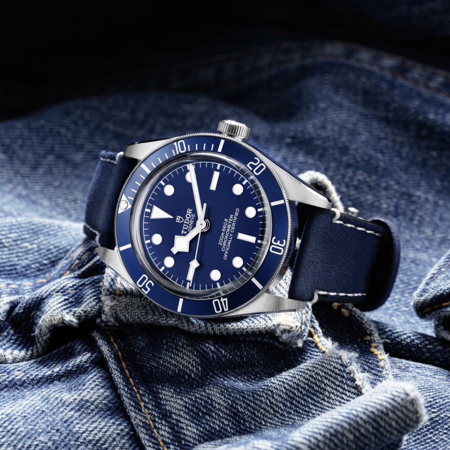 Tudor Black Bay 58 39mm, Blue, Ref# 79030B-0002, dated 2025