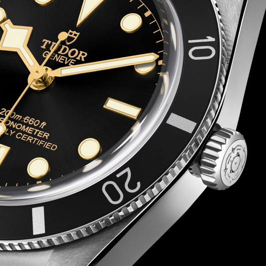 Tudor Black Bay 54 37mm, Black, Ref# M79000N-0001, dated 2025
