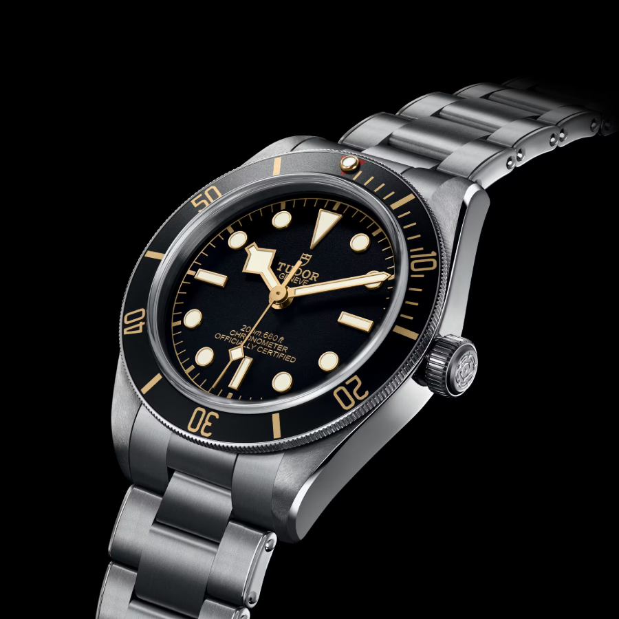 Tudor Black Bay 58 39mm, Black, Ref# 79030N-0001, dated 2025
