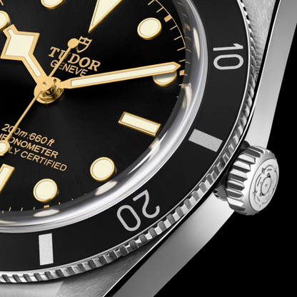 Tudor Black Bay 54 37mm, Black, Ref# 79000n-0002, dated 2026