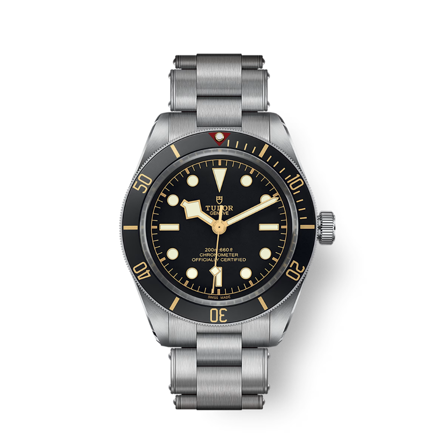 Tudor Black Bay 58 39mm, Black, Ref# 79030N-0001, dated 2025