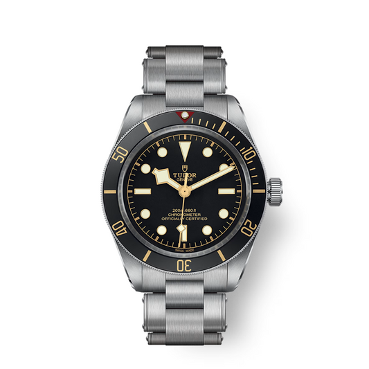Tudor Black Bay 58 39mm, Black, Ref# 79030N-0001, dated 2025
