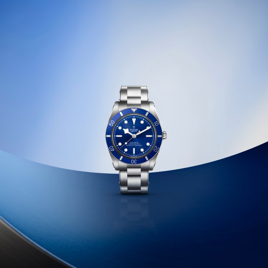 Tudor Black Bay 54 37mm, Blue, Ref# 79000B-0001, dated 2026
