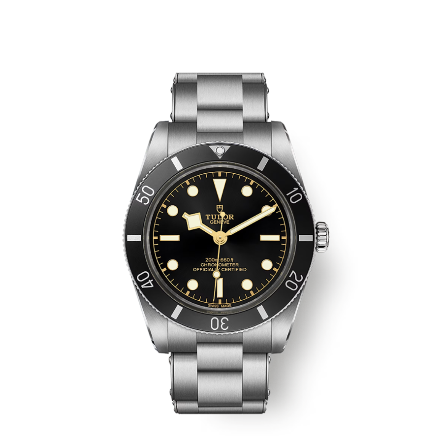 Tudor Black Bay 54 37mm, Black, Ref# M79000N-0001, dated 2025