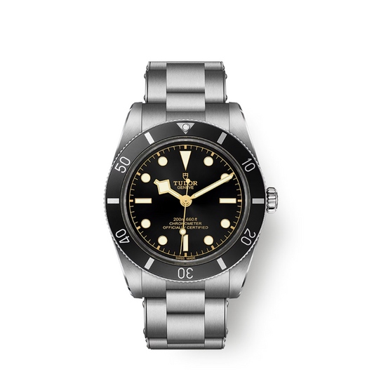 Tudor Black Bay 54 37mm, Black, Ref# M79000N-0001, dated 2025