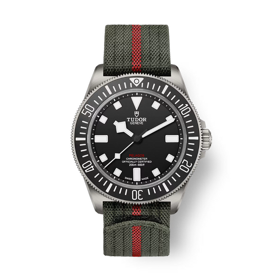 Tudor Pelagos FXD 42mm, Black, Ref# 25717N-0001, dated 2025