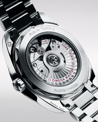 Omega Seamaster Aqua Terra 150M 38mm, Steel, Black, Ref# 220.10.38.20.01.004, dated 2026