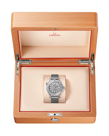 Omega Seamaster Diver 300M, 42mm, Stainless Steel, Grey, Ref# 210.30.42.20.06.002, dated 2026